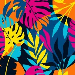 OddBalls Subscriptions REFERRALS TEST - Socks Monthly Subscription