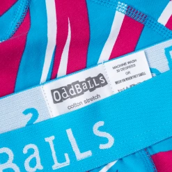 OddBalls Dirty Dancin - Teen Boys Boxer Shorts
