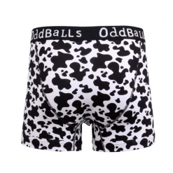 OddBalls Cow Print - Teen Boys Boxer Shorts