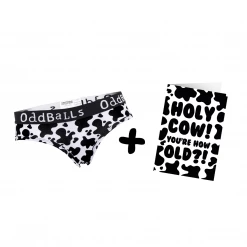 OddBalls Fat Cow - Ladies Briefs + Card Bundle Underwear & Birthday Cards