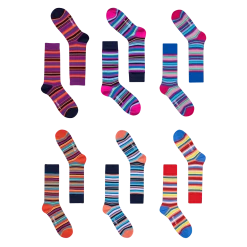 OddBalls Lines Bundle - 6 Pack Sock Bundle Socks