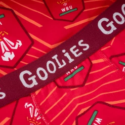 OddBalls Boys Boxer Shorts (Kids) Welsh Rugby Union - Home - Kids Boxer Shorts - Goolies